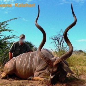 Kudu Hunting Kalahari South Africa