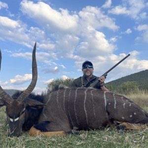 Nyala Hunting South Africa