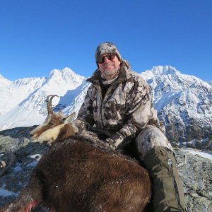 Chamois Hunting New Zealand