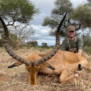 Impala Hunting Tanzania