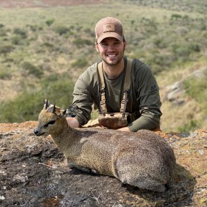 Klipspringer Hunting Tanzania