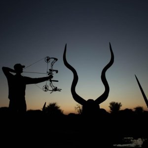 Kudu & Gemsbok