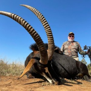 Sable Bow Hunting South Africa