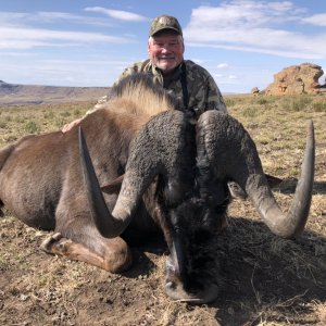 Black Wildebeest Hunt South Africa