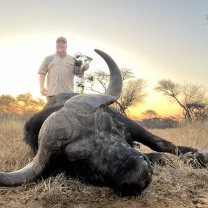 Buffalo Bow Hunting South Africa
