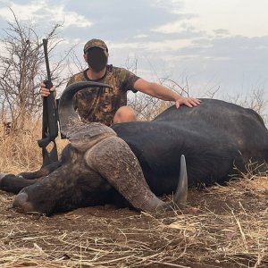 Buffalo Hunting Zimbabwe