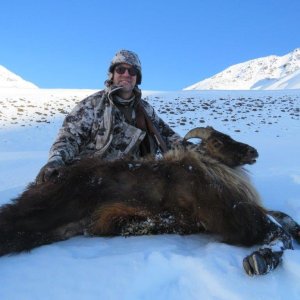 Tahr Hunting New Zealand