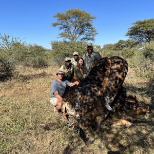 Giraffe Bow Hunt South Africa
