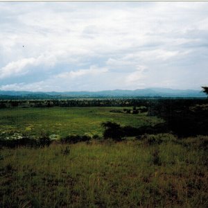 Lake Edward, Ouganda, Border of Congo