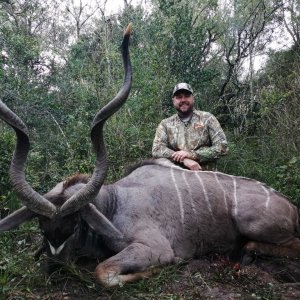 Kudu Hunt Eastern Cape South Africa