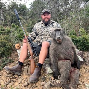 Baboon Hunting Eastern Cape South Africa