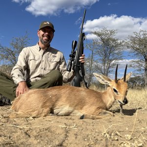 Steenbok Hunt Namibia