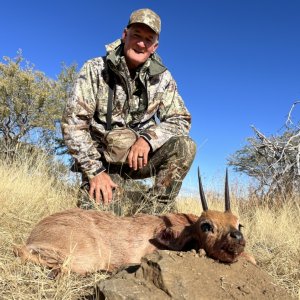 Steenbok Hunting Namibia