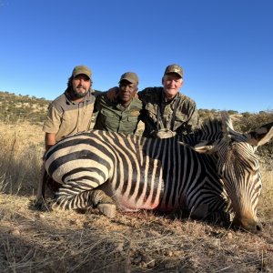 Hartmann's Zebra Hunt Namibia