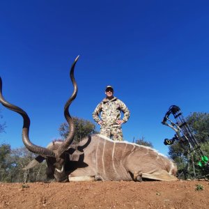 Bowhunting Kudu