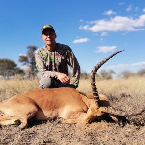 Bowhunting Impala