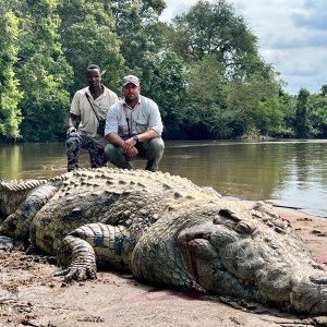 Crocodile with Zana Botes Safari