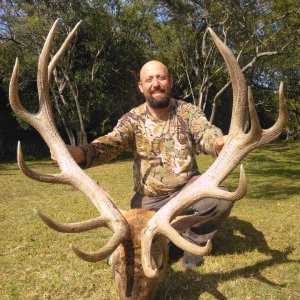 Argentina Red Stag Hunt