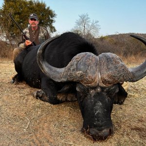 Buffalo Hunting South Africa