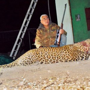 Leopard Southern Gujarat
