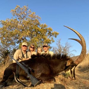 42.6 Inch Sable Hunt South Africa
