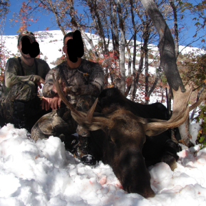Moose Hunting Nevada