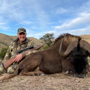 Black Wildebeest Hunt