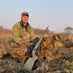Spotted Hyena Hunt Zambia