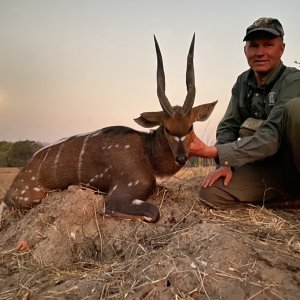 Bushbuck Hunting Zambia