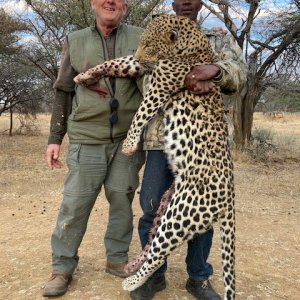 Leopard Hunt Namibia