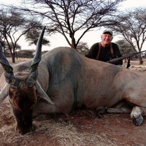 Eland Hunt Namibia