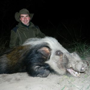 Adrenaline Bushpig Night Hunt