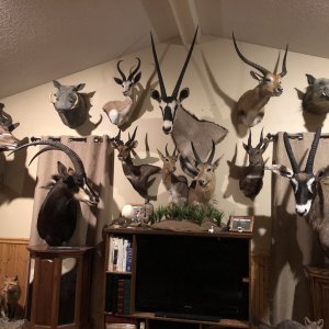 Trophy Room