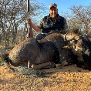 Blue Wildebeest Hunt