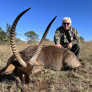 Waterbuck Hunting South Africa