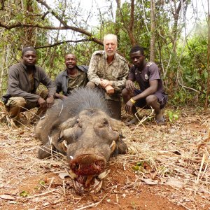 Giant Forest Hog Hunting Central African Republic C.A.R