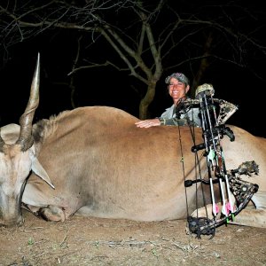 Eland Bow Hunt South Africa