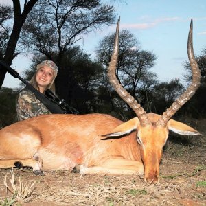 Impala Hunt South Africa