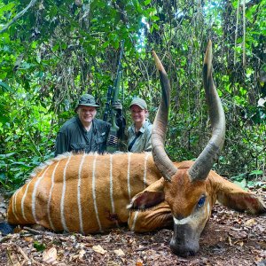 Bongo Hunt Cameroon