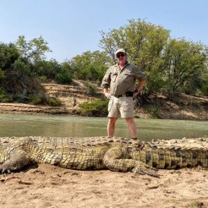 15 Feet Crocodile Hunt Kunene River Namibia