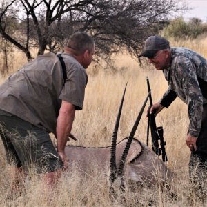 Gemsbok Hunting Namibia