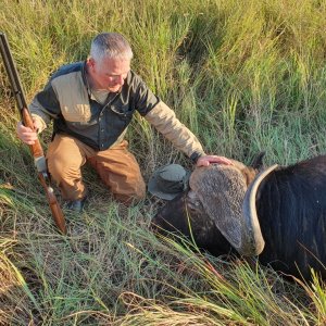 Buffalo Hunting