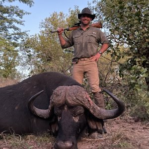 Buffalo Hunting