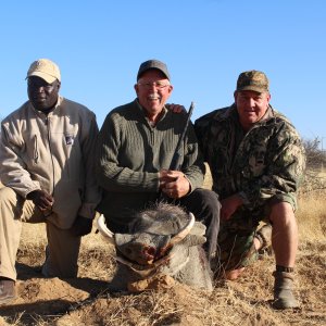 Warthog Hunting Namibia