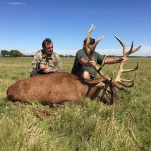Argentina Red Stag Hunting