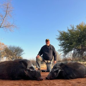 Bushpig Crossbow Hunt South Africa