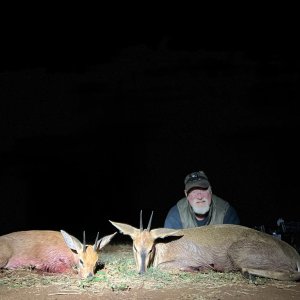 Steenbok & Grey Duiker Crossbow Hunt South Africa