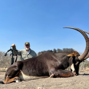 Sable Crossbow Hunt South Africa