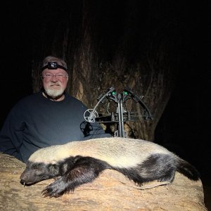 Honey Badger Crossbow Hunt South Africa