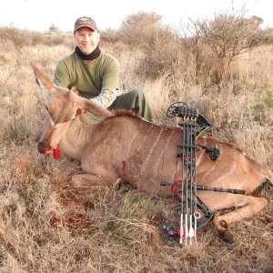 Kudu Cow Bow Hunt South Africa